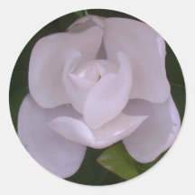 Magnolia Sticker