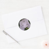 Rond Magnolia Sticker (Enveloppe)