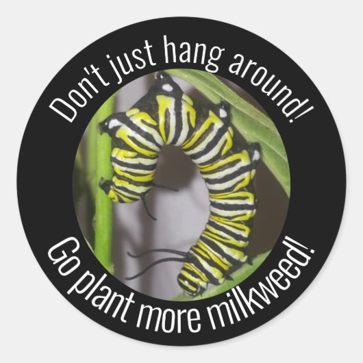 Rond Monarch caterpillar sticker (Devant)