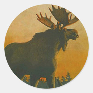 Rond Oie taureau sauvage Sticker @ Coucher de soleil