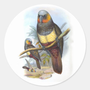 Rond Oiseau perroquet vintage PE_GC - Sticker