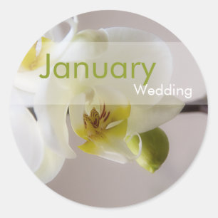 Rond Orchid blanc ・ Sticker Mariage de janvier