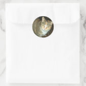 ROND PEANUT STICKER (Sac)