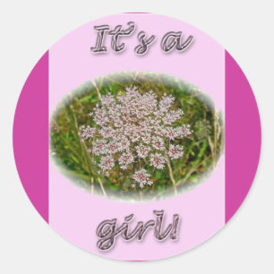 Rond Pink Queen Anne's Lace It a Girl New Baby Sticker