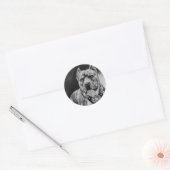ROND PITBULL STICKER ROUND PKG DE 20 (Enveloppe)