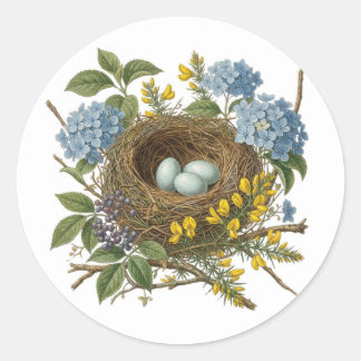Rond Pretty Vintage Bird Nest Sticker