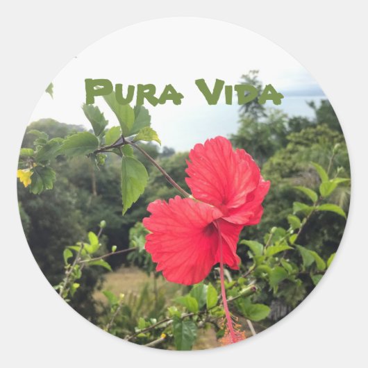 Rond Pura Vida avec Sticker Hibiscus (Devant)