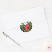 Rond Pura Vida avec Sticker Hibiscus (Enveloppe)