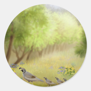 Rond Quail dans un Sticker de pré