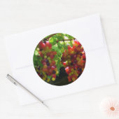 Rond Raisins Sur Un Sticker À Vins (Enveloppe)