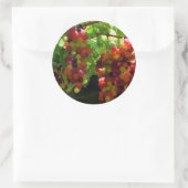 Rond Raisins Sur Un Sticker À Vins (Sac)