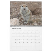 Rond rondzeekhoornrooster kalender (Feb 2026)