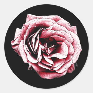 Rond Rose rouge - Sticker