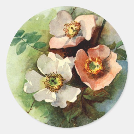 Rond Roses sur la vigne - Sticker (Devant)