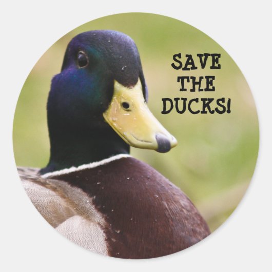 Rond Sauvons Le Sticker Canards (Devant)