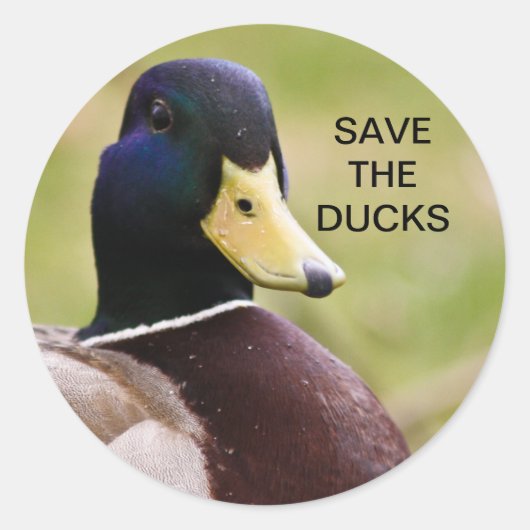 Rond Sauvons Le Sticker Canards (Devant)