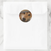 Rond Shiba dans un Sticker à couverture (Sac)