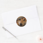 Rond Shiba dans un Sticker à couverture (Enveloppe)