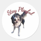 Rond Stay Playful Dog Sticker (Devant)