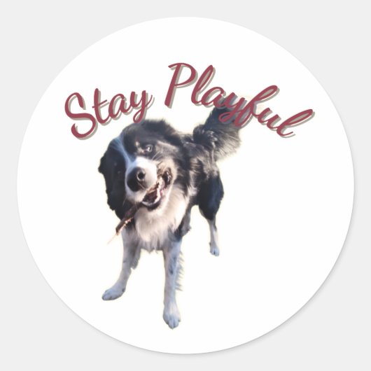 Rond Stay Playful Dog Sticker (Devant)