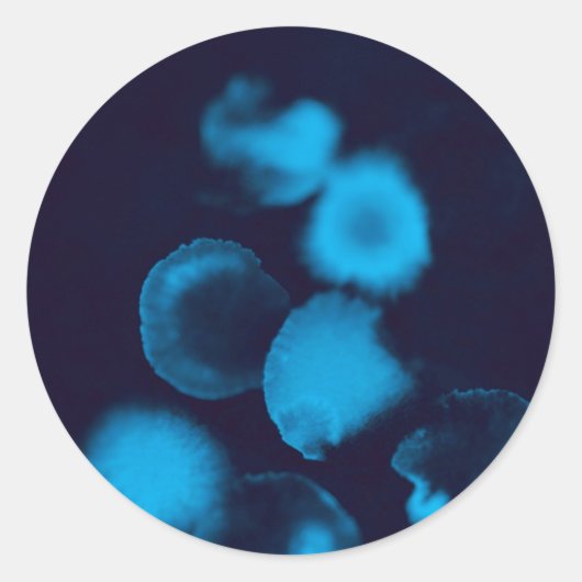 Rond Sticker (Devant)