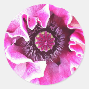 Rond Sticker