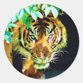 Rond Sticker (Devant)