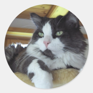 Rond Sticker