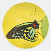 Rond Sticker (Devant)