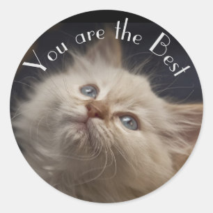 Rond Sticker