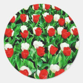 Rond Sticker (Devant)