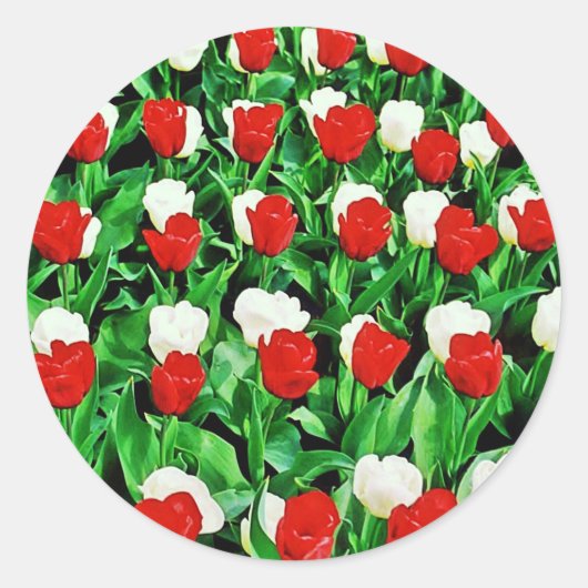 Rond Sticker (Devant)