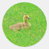 Rond Sticker (Devant)