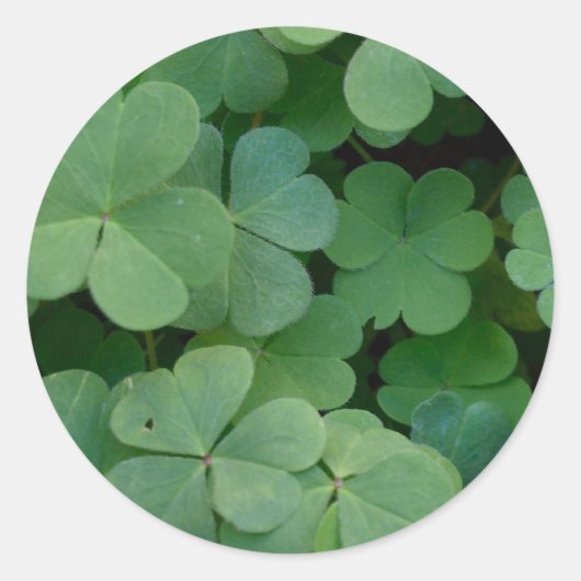 Rond Sticker (Devant)