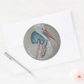 Rond Sticker 3Dimensional Stork (Enveloppe)
