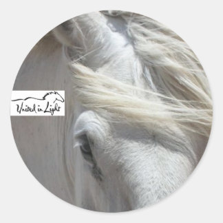 Rond Sticker à cheval