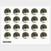Rond Sticker à cygne noir et blanc (Feuille)