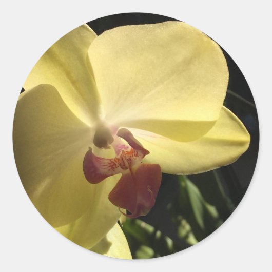 Rond Sticker à enveloppe à orchidée jaune (Devant)