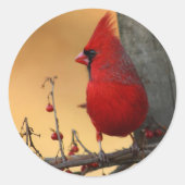 Rond Sticker à enveloppe cardinale rouge (Devant)