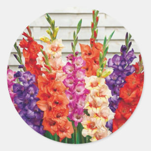 Rond Sticker à enveloppe colorée Gladiolas
