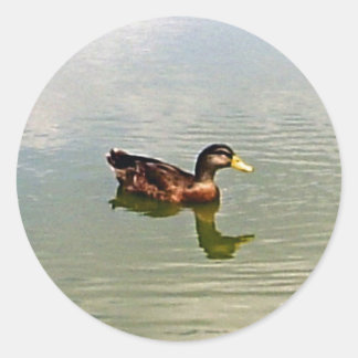 Rond Sticker à enveloppe de canard