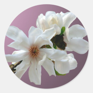 Rond Sticker à enveloppe Magnolia Stellata