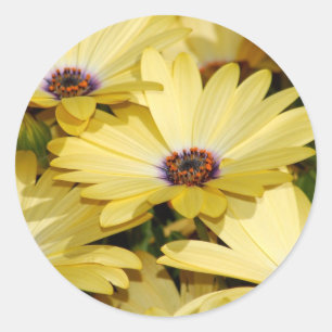 Rond Sticker à fleurs