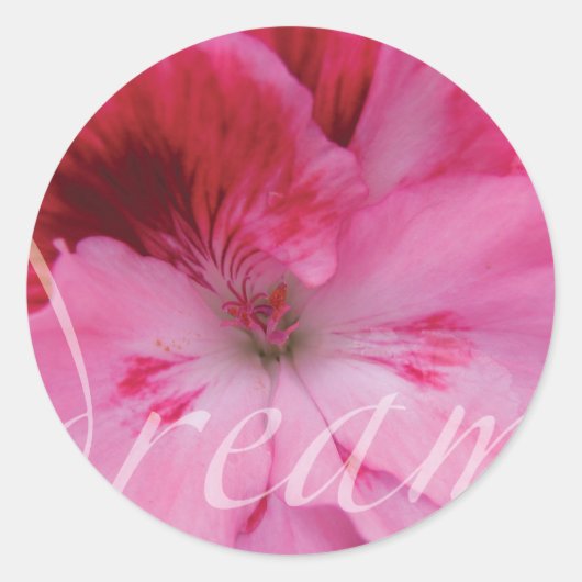 Rond Sticker à fleurs de géranium rose Dream (Devant)