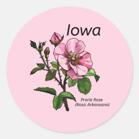 Rond Sticker à fleurs de l'État de l'Iowa (Devant)