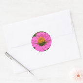 Rond Sticker à fleurs rose Zinnia (Enveloppe)