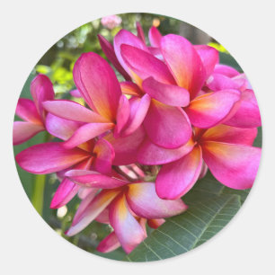 Rond Sticker à fleurs tropicales