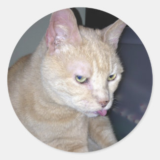 Rond Sticker à framboise puant