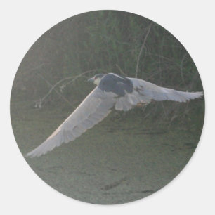Rond Sticker à héros de nuit à couronne noire