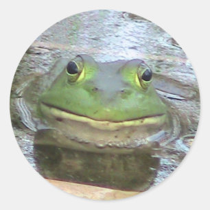 Rond Sticker à la grenouille